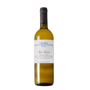 Fonte Vionica