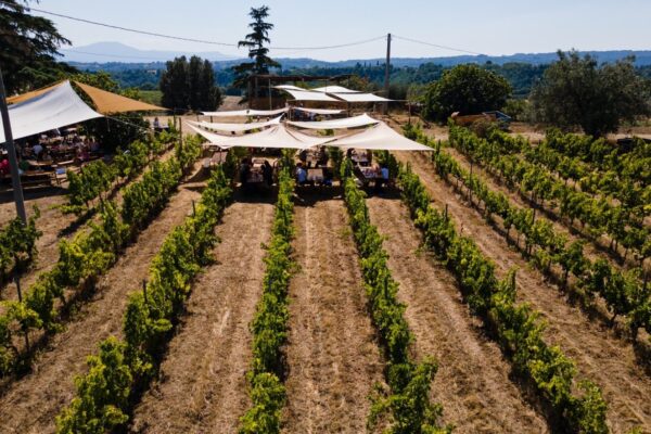 Azienda Agricola Biologica Trebotti
